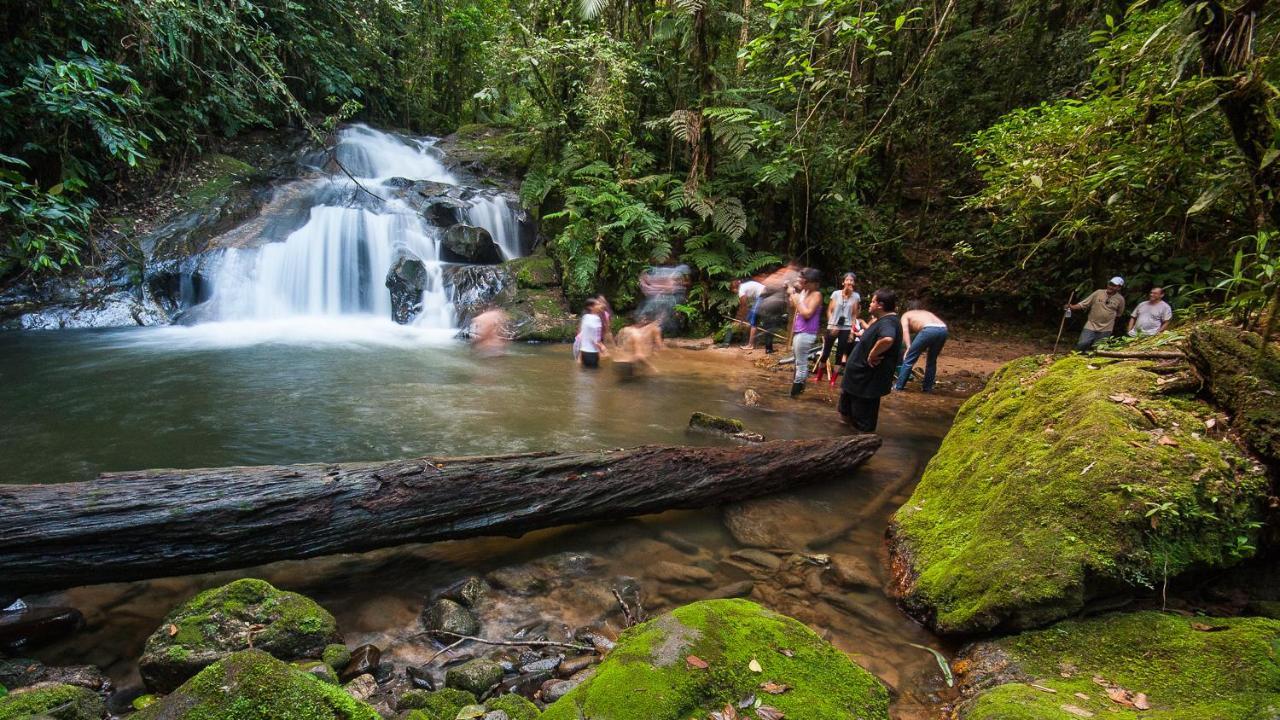 Pousada Salve Floresta Tapirai Εξωτερικό φωτογραφία