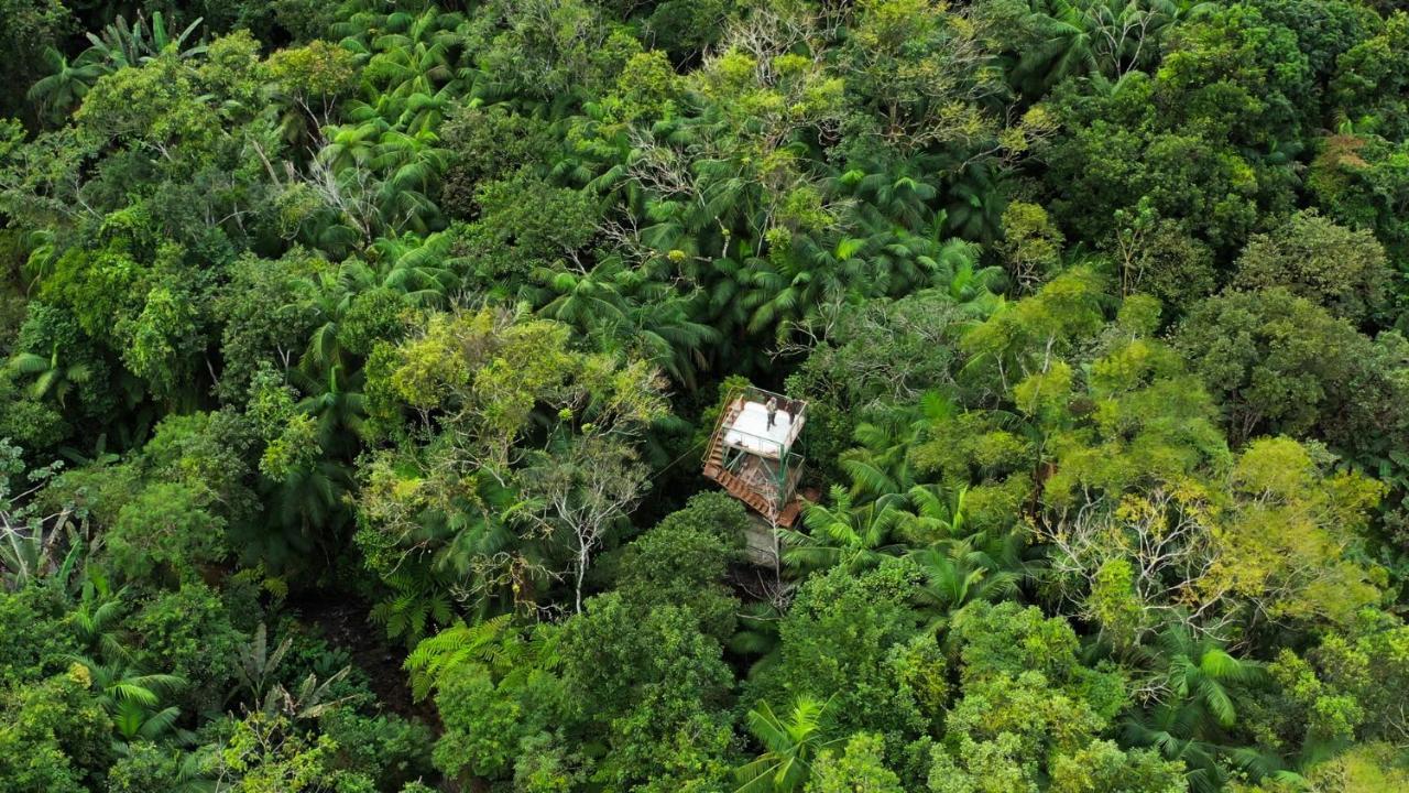 Pousada Salve Floresta Tapirai Εξωτερικό φωτογραφία