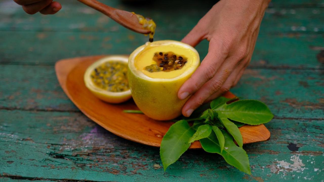 Pousada Salve Floresta Tapirai Εξωτερικό φωτογραφία